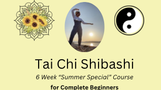 Breath of Summer 🌞: Tai Chi Shibashi - 6 Week Introduction 
