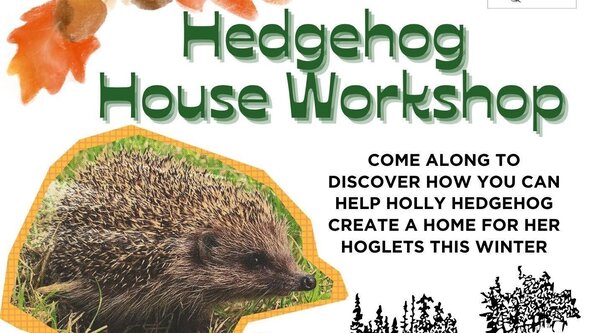 🍂🦔 Kids Autumn Hedgehog House Workshop 🍂🦔