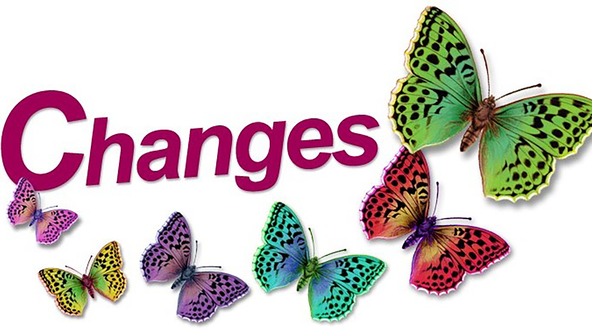 Wake & Shake - WS01 - Online