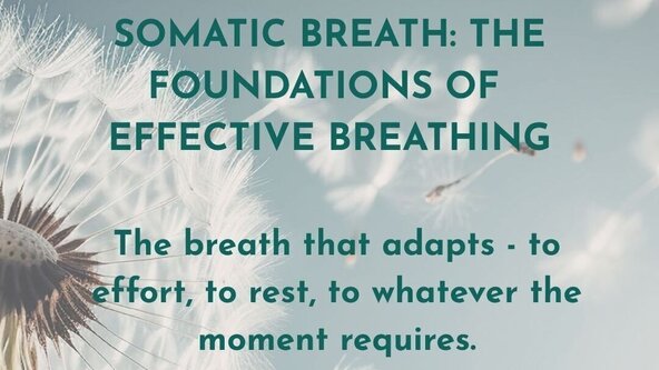 Workshop - Somatic Breath: The Foundations of Effective Breathing