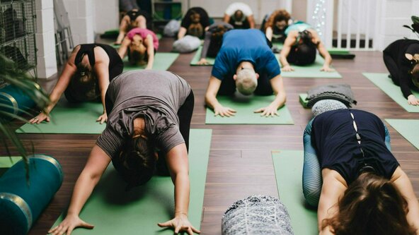 Yoga Foundations - beginners - Louise