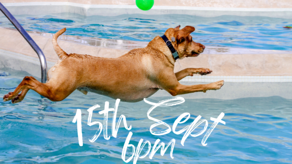 Closing Day Dog Swim 