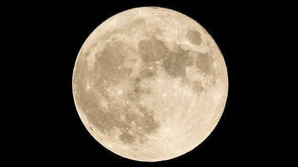 Full Moon Night Swim