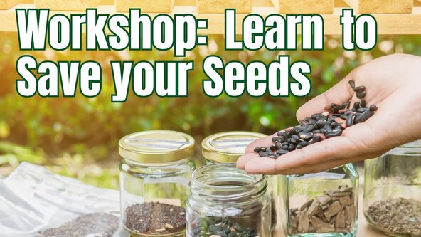 Workshop: Learn to Save your Seeds