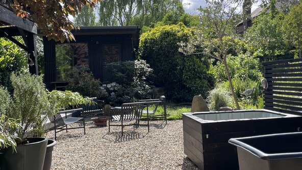 Afternoon Sanctuary