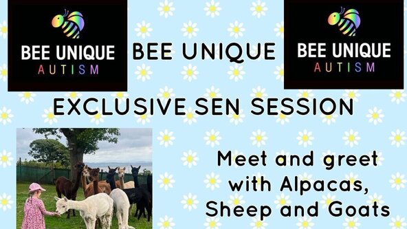 🐝  ***ULVERSTON*** 🌈 EXCLUSIVE BEE UNIQUE SESSION 🐄 - FAMILY INTERACTIVE ANIMAL VISIT - Low Sunbrick Farm Experience with BEE UNIQUE Volunteer REP 'Hayleigh Knibbs'