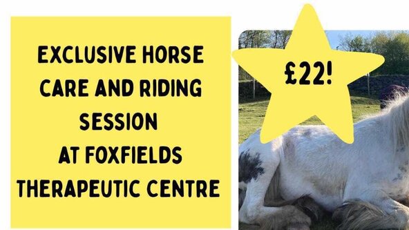 🐝***BOLTON***🌈 EXCLUSIVE BEE UNIQUE 🐴 Horse riding- at 'Factory Hill' 🚫 Non Refundable Event 🚫 