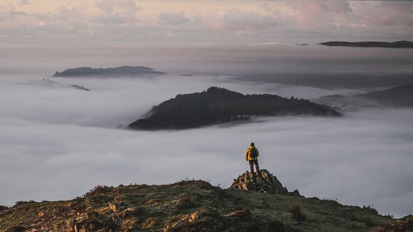 Fresh Start Winter Walk: Step Into 2026 With Bee Adventures