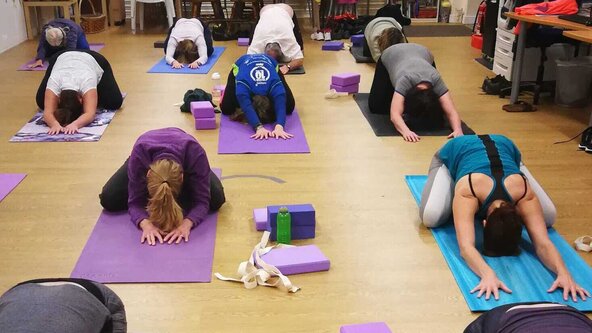 Pura Vida Spring Hatha Yoga