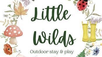 🌳LITTLE WILDS @ RIVER HAMBLE COUNTRY PARK : 2hr Baby & Child First Aid Class