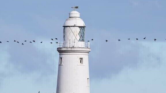 Spring Bird Walk & Talk 