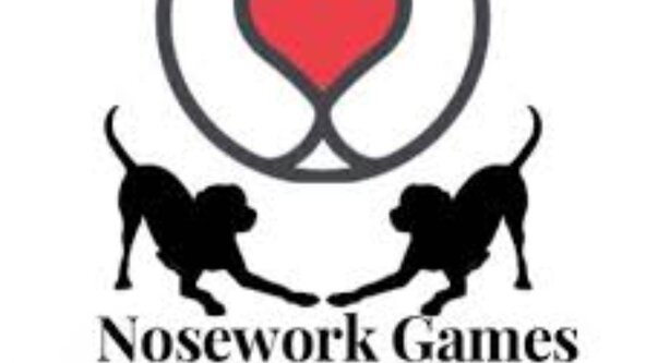Nosework Games Level 1