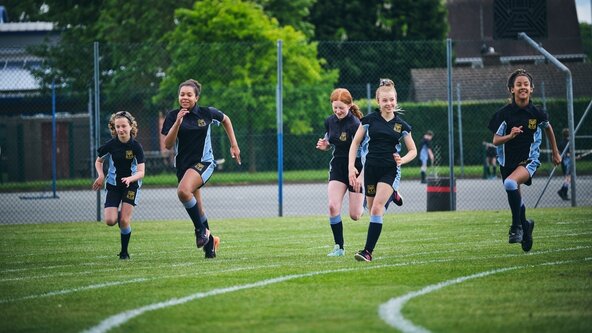 Senior Mental Health Lead Network