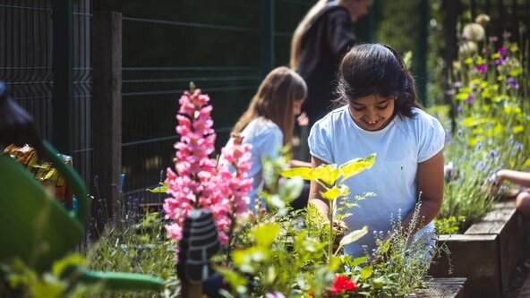 SEND Hot Topic 5 - Session focus TBC