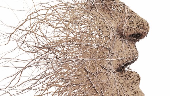 Trauma-informed Coach 18-hour CPD Training