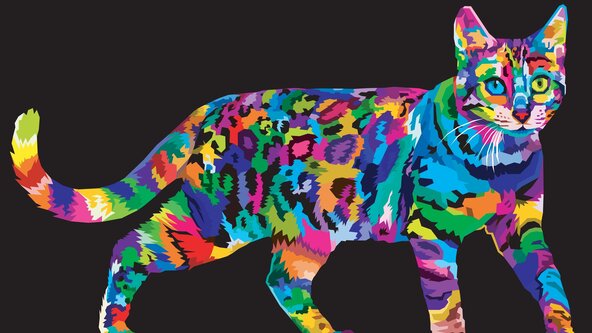  Sip into Pop Art 