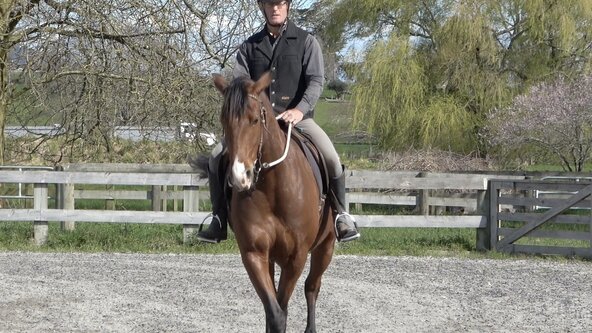 Stage 4 Beyond the Basics