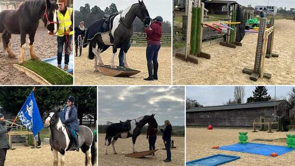 Pickering Grange Clinic - obstacle, young horse and private sessions