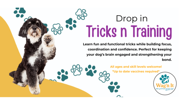 Tricks n' Training - Wag’n It (Eileen Drebert)