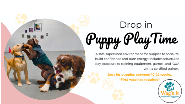 Puppy Play Time - Wag'n It (Eileen Drebert)