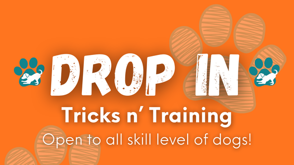 Wag'n It: DROP IN - Tricks n' Training