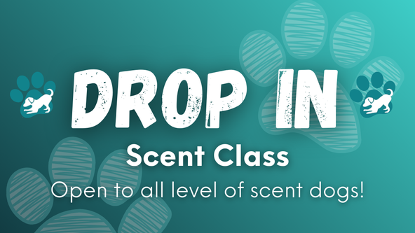 Wag'n It: DROP IN - Scent Practice