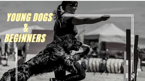Agility Class with Bex (Merged mixed ability)