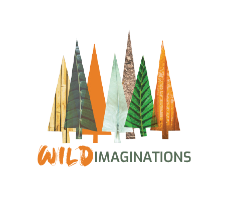 Wild Imaginations Ltd