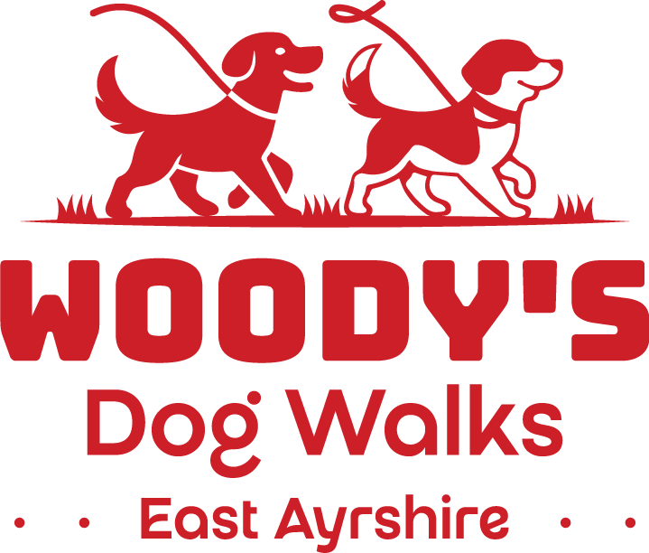 Woodysdogwalks