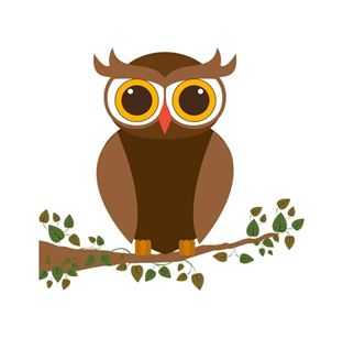 Mrs Owl's Forest School