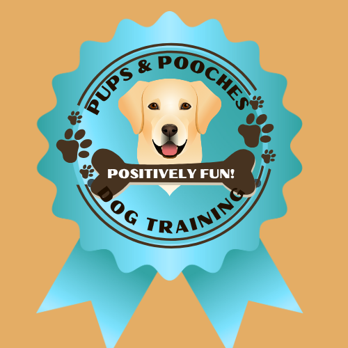Pupsandpoochesdogtraining
