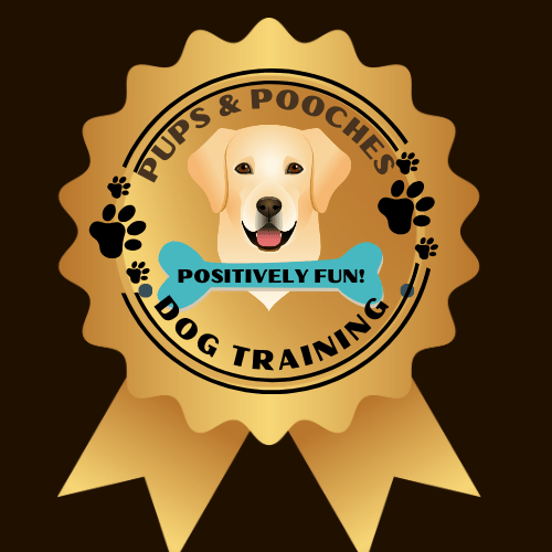 Pupsandpoochesdogtraining