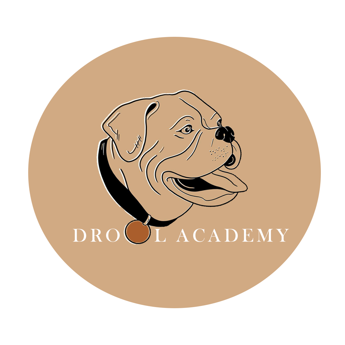 Drool Academy Ltd