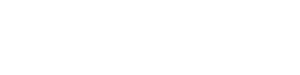 The Motherhood Collective