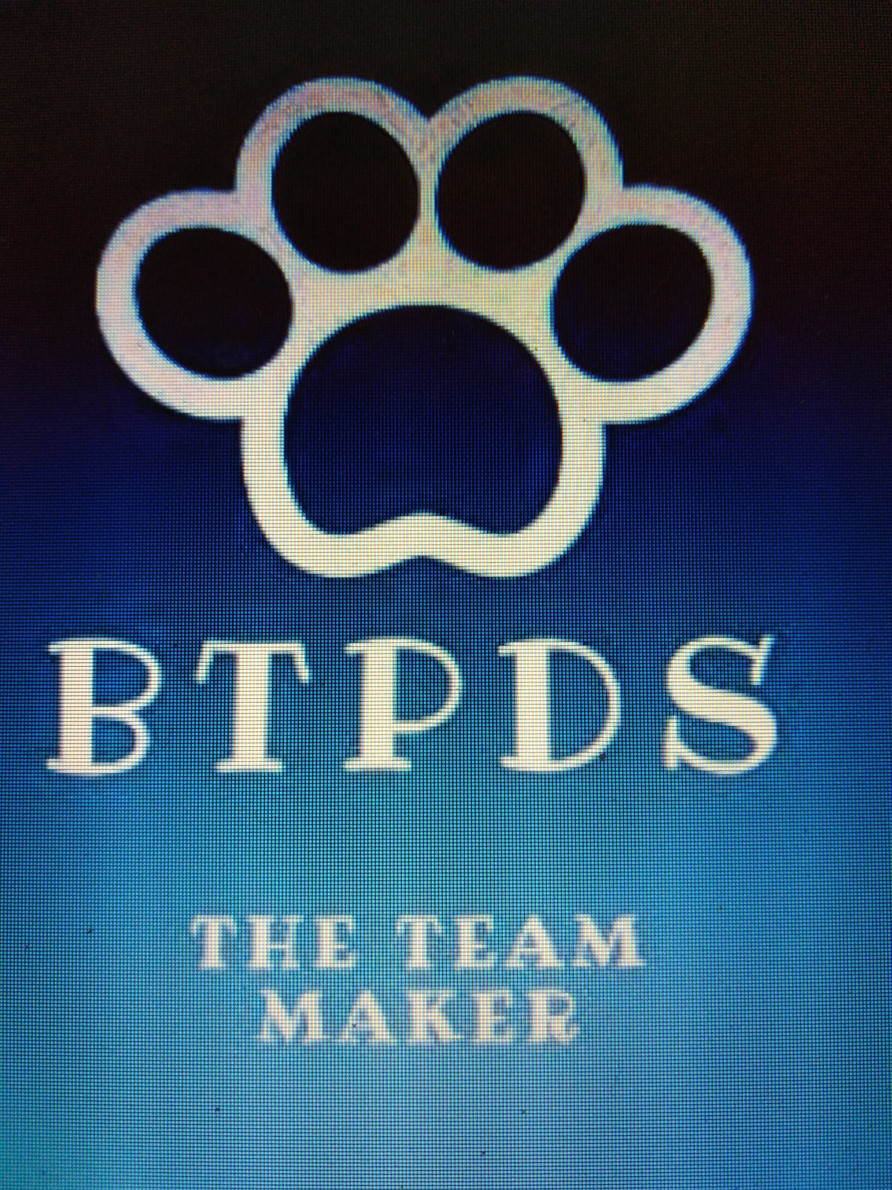 Beastly Thoughts Professional Dog Services