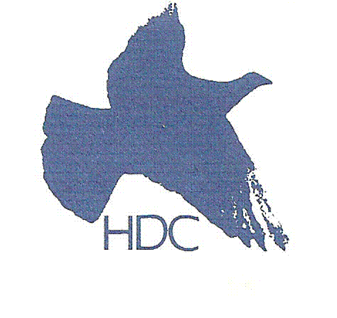 Hampstead Dyslexia Clinic 