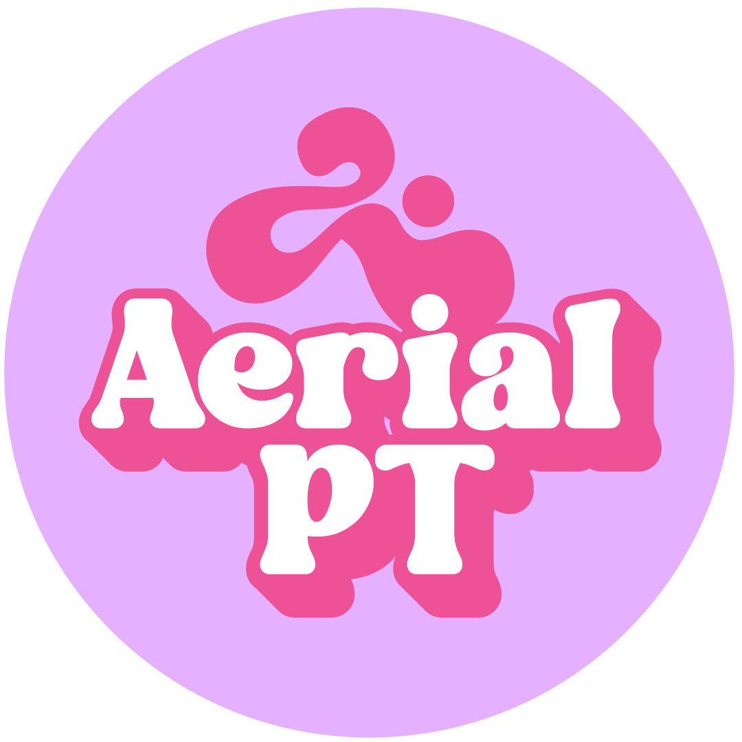 The Aerial PT