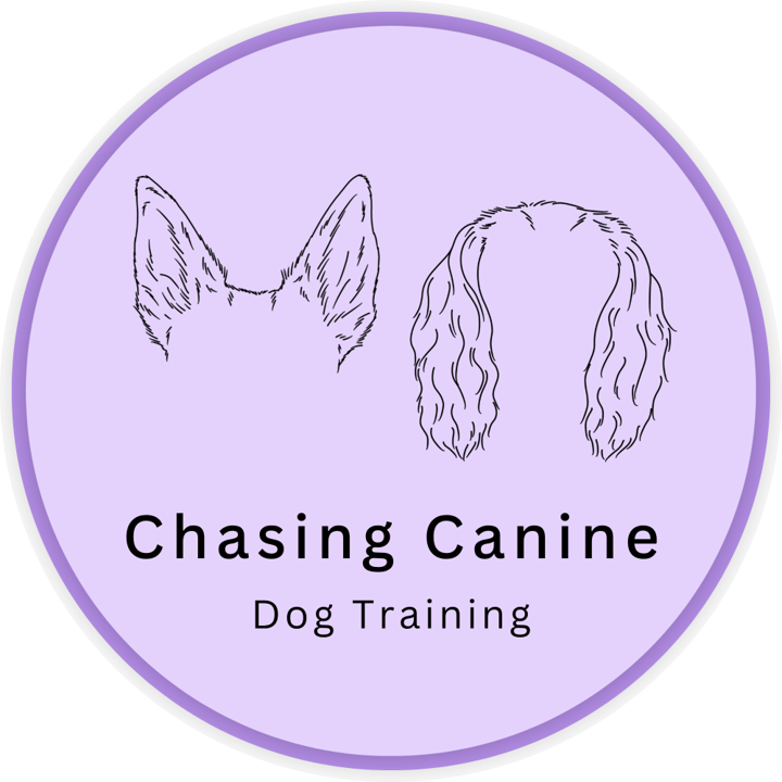 Chasing Canine Dog Training