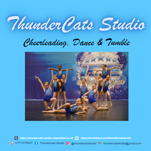 Thundercats Studio