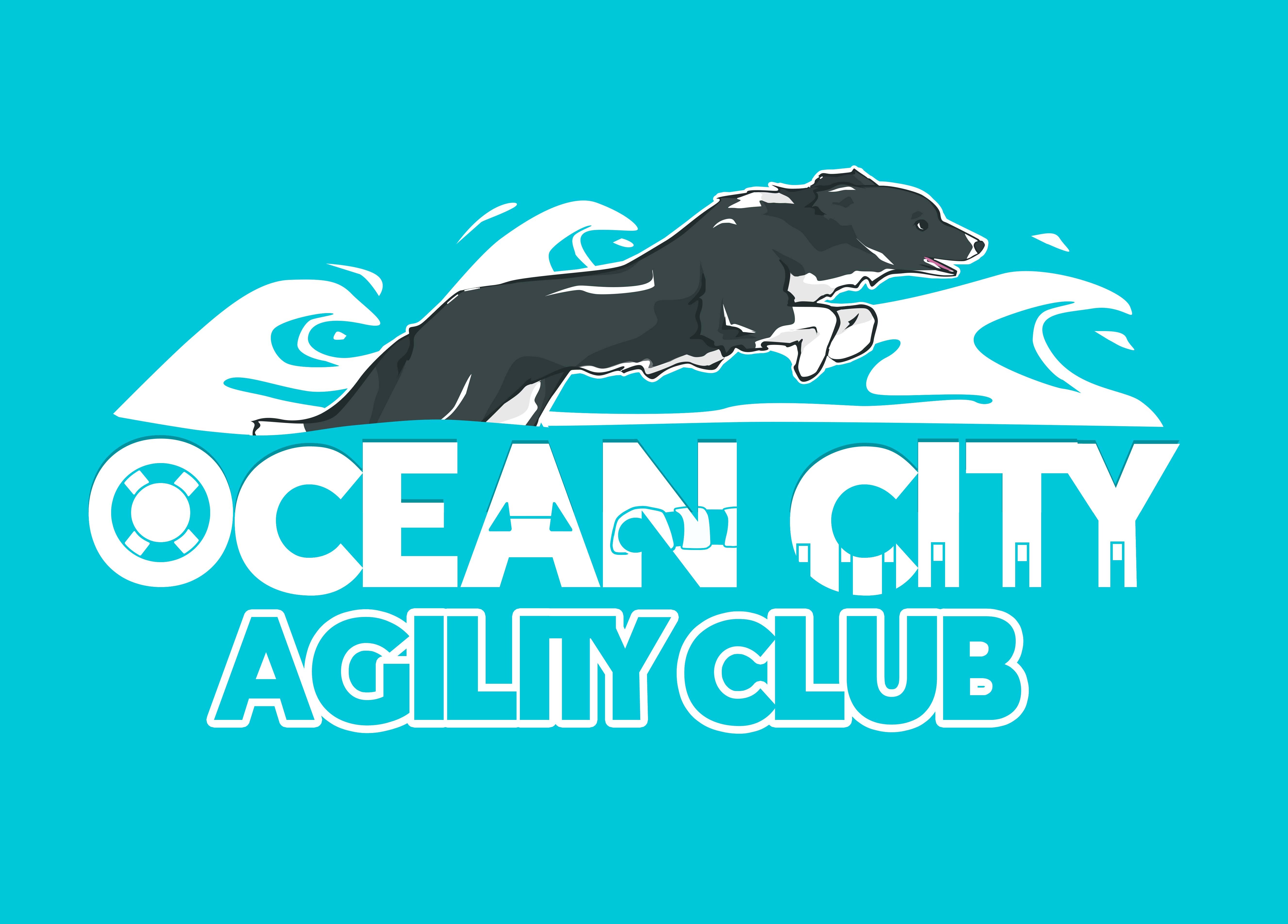 Ocean City Agility