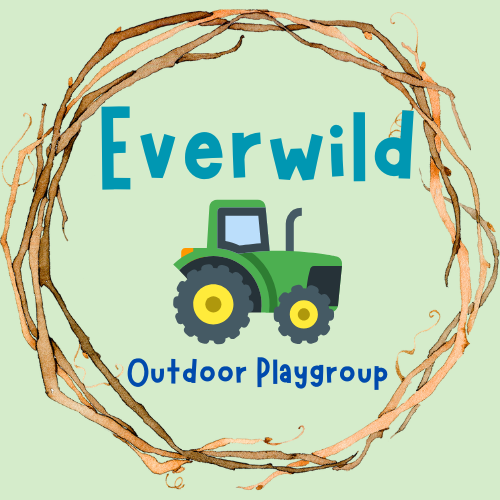 Everwild Play