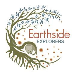 Earthside Explorers