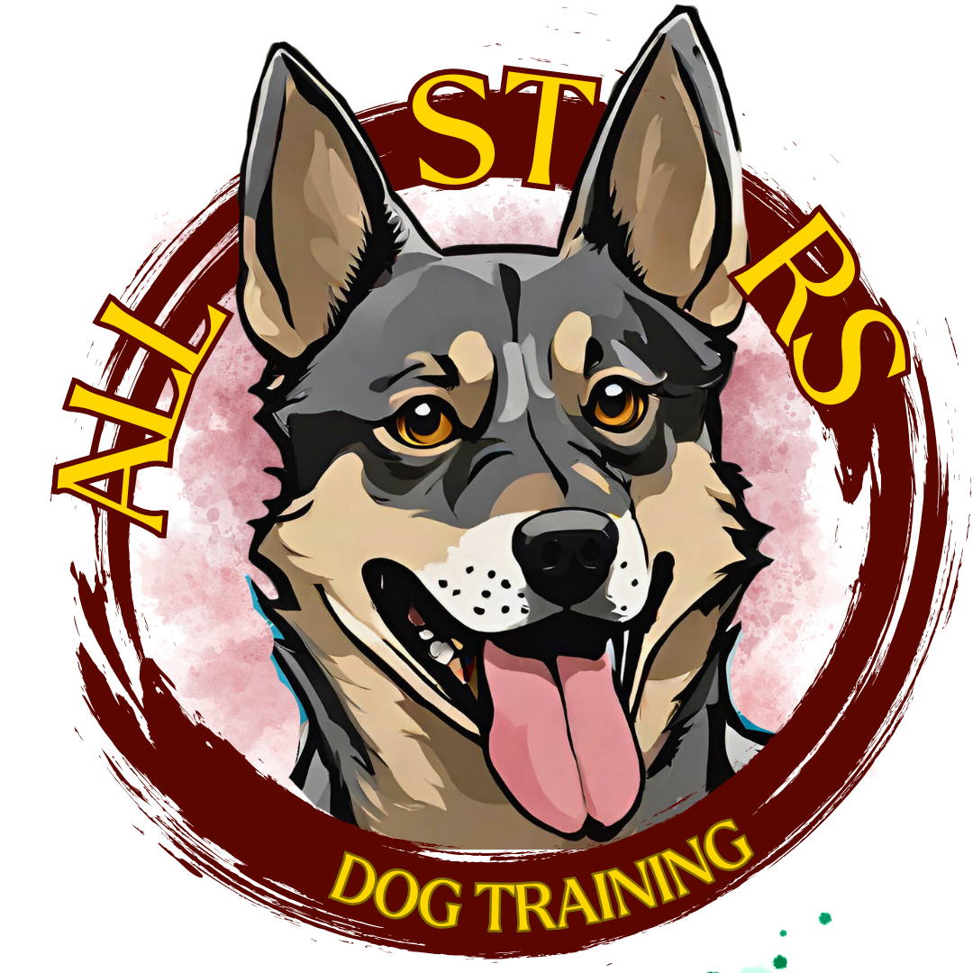 Allstarsdogtraining