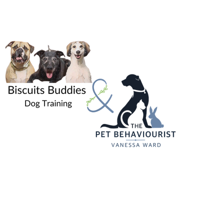 Biscuits Buddies