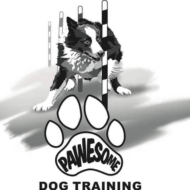 Pawesomedogtrainingcumbri