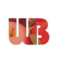 Wyse Bites