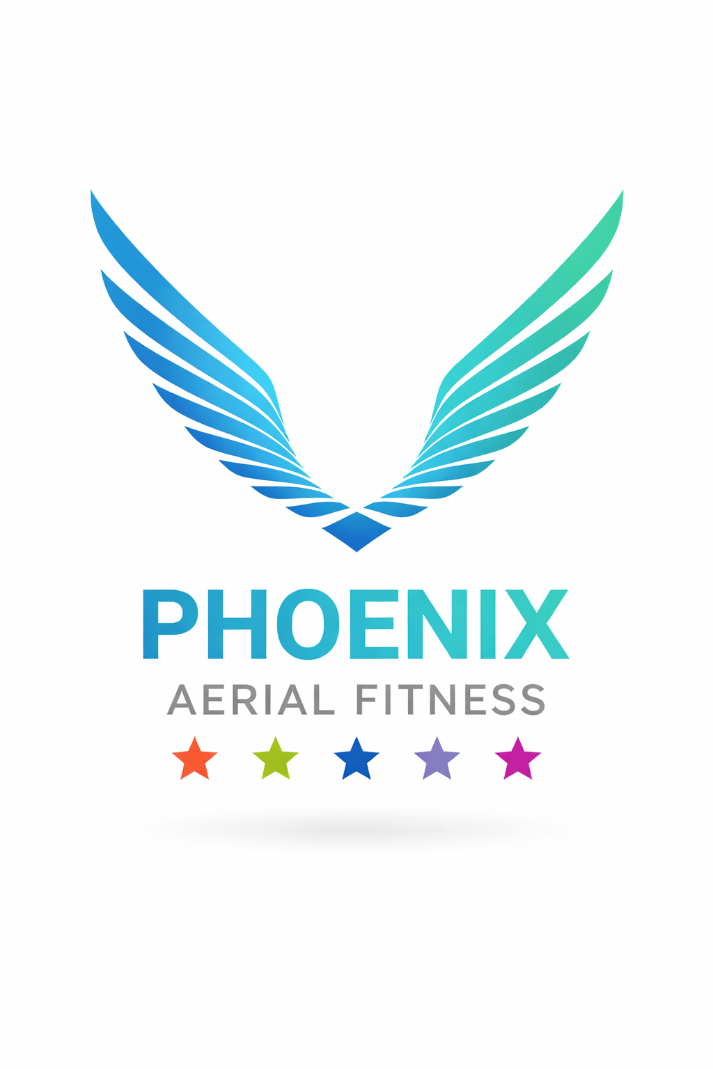 Phoenixaerialfitness