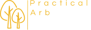 Practical Arb