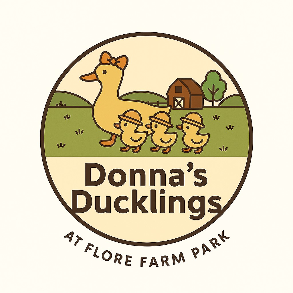 Donnasducklings