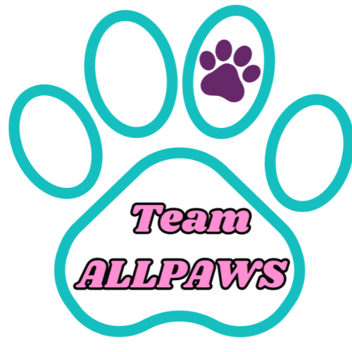 Allpawsdogagility